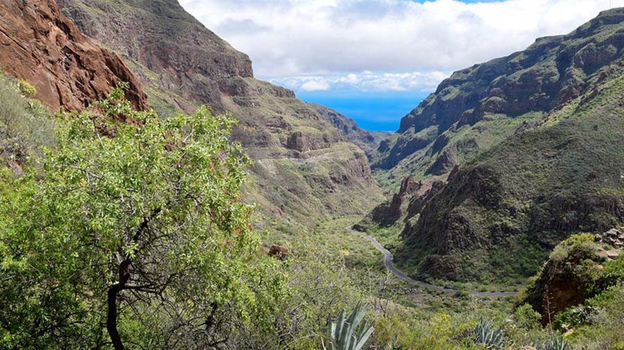 Barranco de Guayadeque met verschillende grotrestaurants