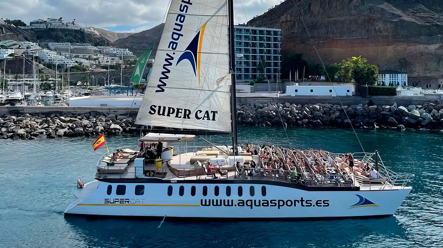 Supercat dolfijnen boottocht