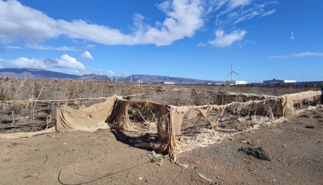 Cabildo & gemeentes willen de afvalzee in het zuidoosten van Gran Canaria laten verwijderen