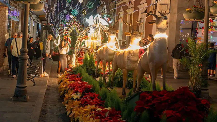 Bloemenweek in Gáldar met Kerstmis - Een tip voor een uitstapje!