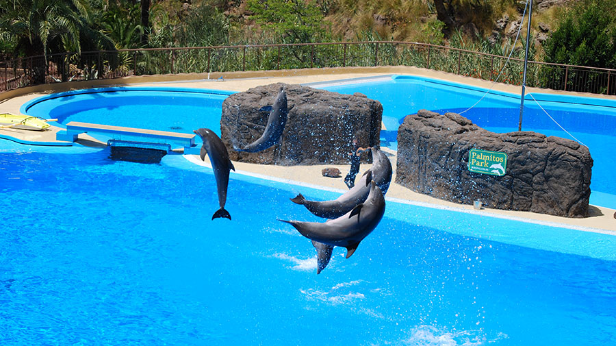 Palmitos Park in Maspalomas