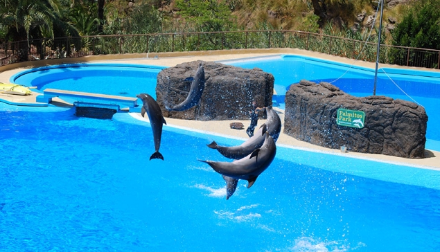 Palmitos Park in Maspalomas