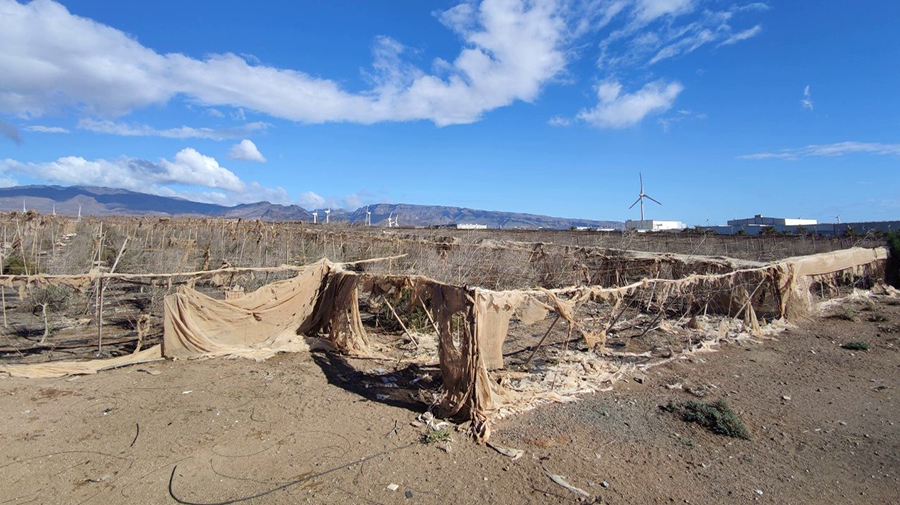 De verlaten en deels ernstig verwaarloosde kassen in het zuidoosten van Gran Canaria