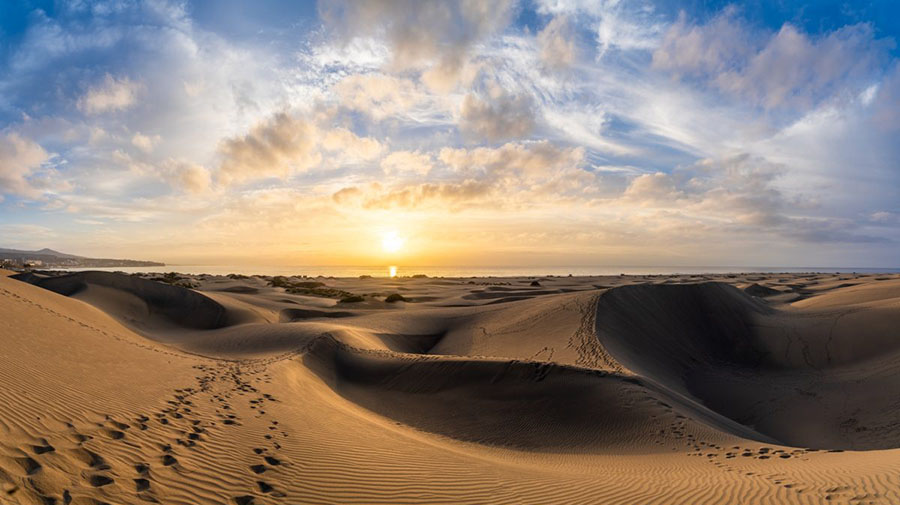 Klimaatverandering zou de Canarische Eilanden ook in tropische eilanden kunnen veranderen