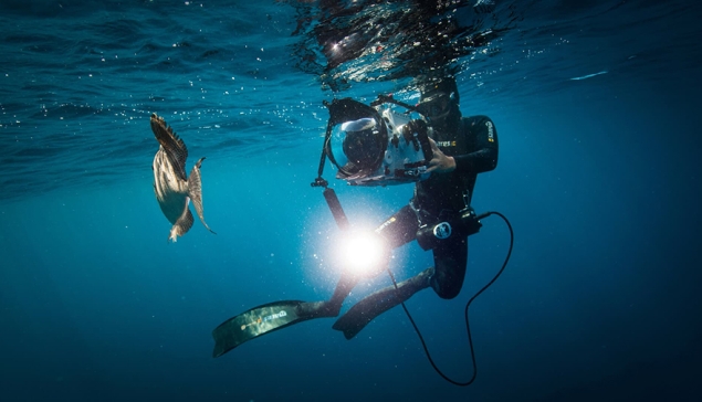 Geweldige natuurdocumentaire over de Canarische Eilanden op 3sat in de mediatheek