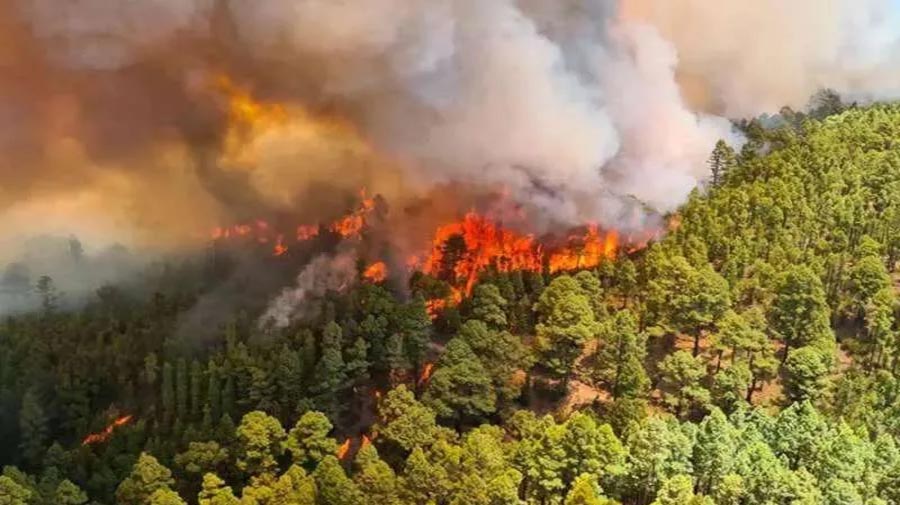 Extreme temperaturen zetten de Canarische Eilanden in verhoogde staat van paraatheid voor bosbranden