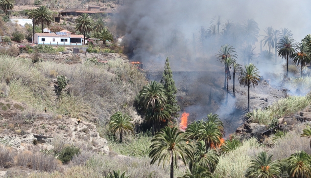 Palmboom-bosbrand in Fataga (inclusief video)