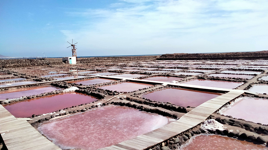 Salinas de Tenefé