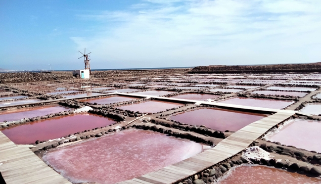 Salinas de Tenefé