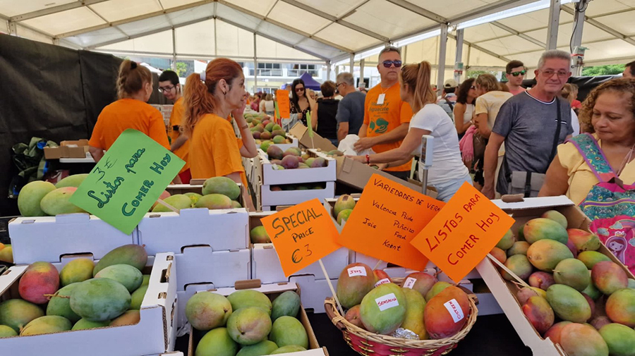 Mango- en Avocadomarkt aanstaande zondag in Mogán