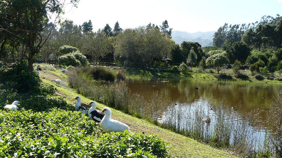 La Laguna - Valleseco