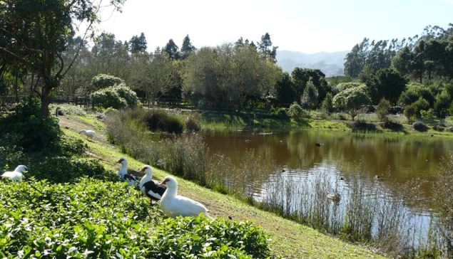 La Laguna - Valleseco