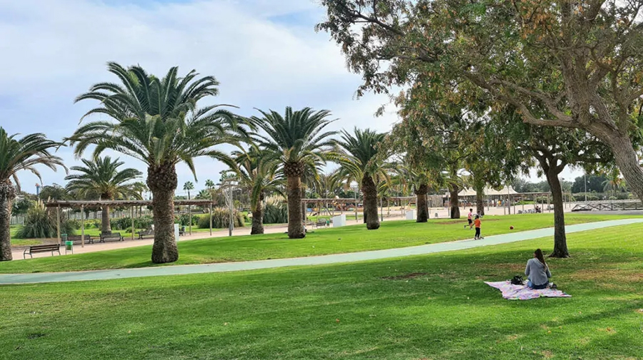 Parque Sur - Maspalomas