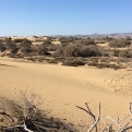 Nieuw bewakingssysteem met bewegingssensoren gepland voor de duinen van Maspalomas