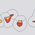 Verschillende eilanden activeren het Noodplan nu het risico op extreme hitte is verhoogd naar rood