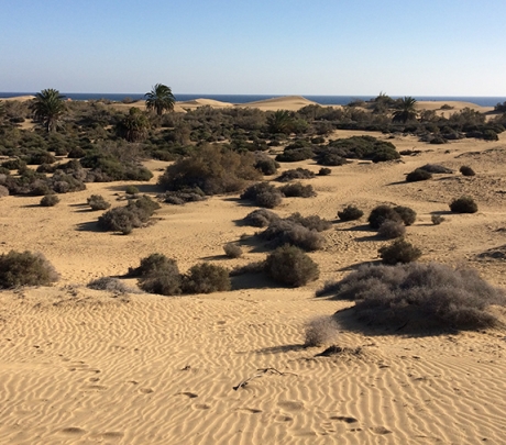 MET VIDEO: De duinen van Maspalomas worden nu ook door drones en de Guardia Civil bewaakt