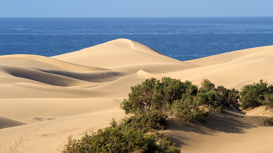 4 uur durende inzet in de duinen van Maspalomas: 75 overtredingen met 18 aangiften
