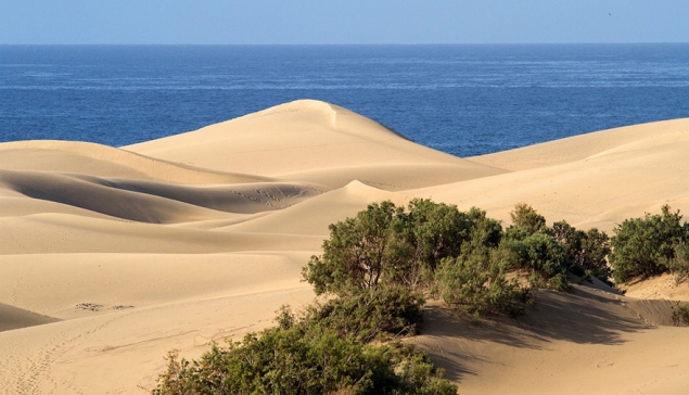 4 uur durende inzet in de duinen van Maspalomas: 75 overtredingen met 18 aangiften