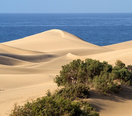 Patrouilles verhoogd bij de Duinen van Maspalomas voor Pasen