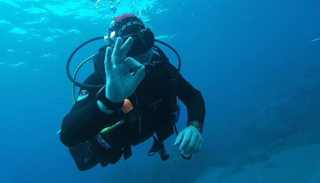 Puerto Rico Diving - Puerto Rico