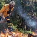 Acuut bosbrandgevaar op Gran Canaria: Strenge verboden vanaf vandaag ter bescherming van de natuur