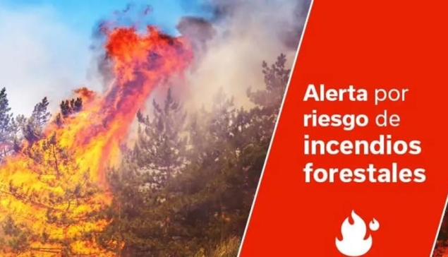 Bosbrandalarm op Gran Canaria en Tenerife: dit is nu verboden