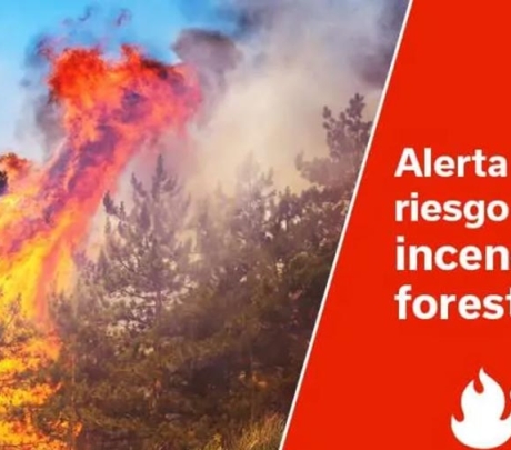 Bosbrandalarm op Gran Canaria en Tenerife: dit is nu verboden