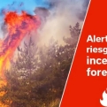 Bosbrandalarm op Gran Canaria en Tenerife: dit is nu verboden
