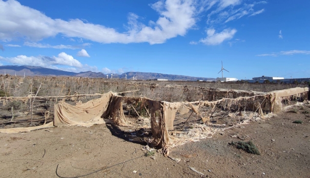 Gran Canaria verklaart de strijd aan tegen plasticafval
