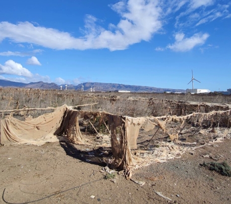 Gran Canaria verklaart de strijd aan tegen plasticafval