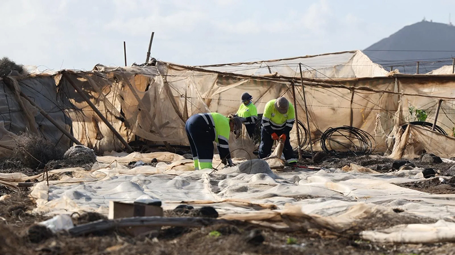 Een miljoenenproject voor natuur en werkgelegenheid