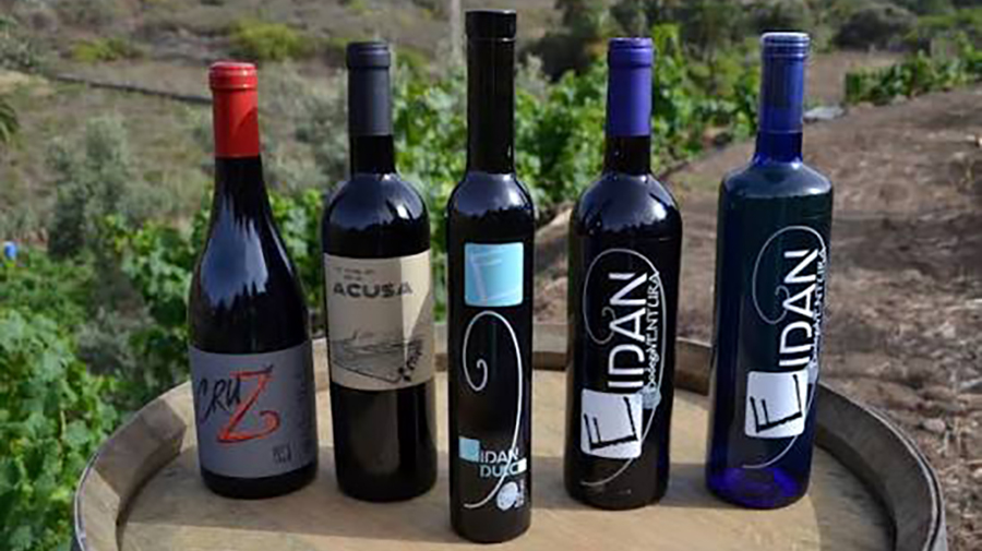 Wijnen van Gran Canaria veroveren 12 medailles tijdens de International Wine & Spirits Awards 2026