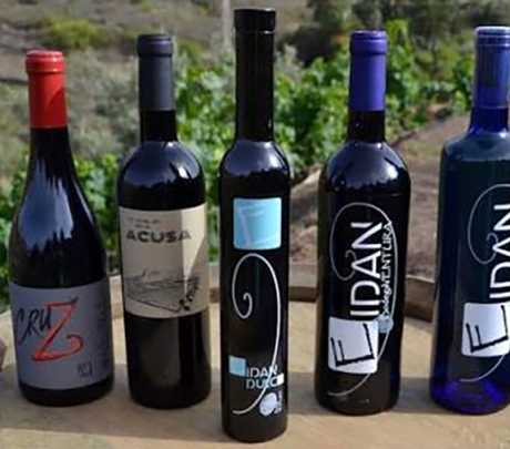 Wijnen van Gran Canaria veroveren 12 medailles tijdens de International Wine & Spirits Awards 2026