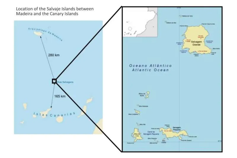 Salvaje Islands 2