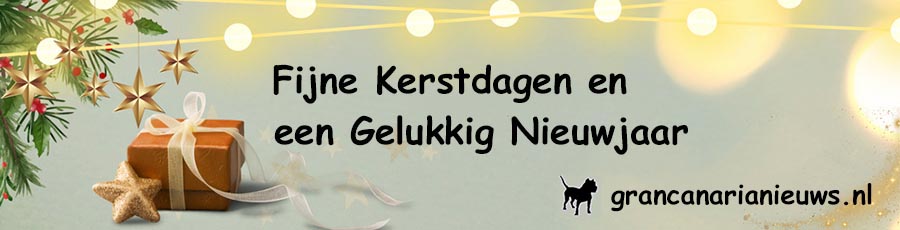 Fijne Kerstdagen