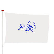 vlag kwallen